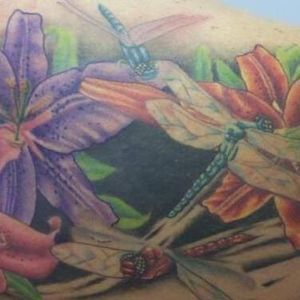 Meet your Posher, Tara